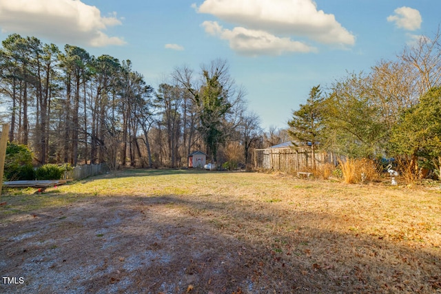 view of yard featuring a shed