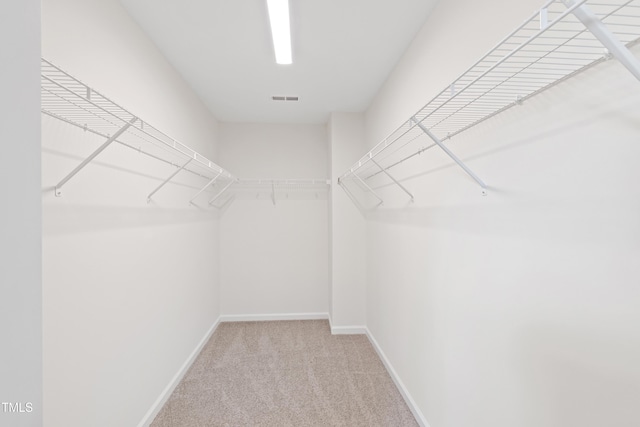 spacious closet with carpet flooring