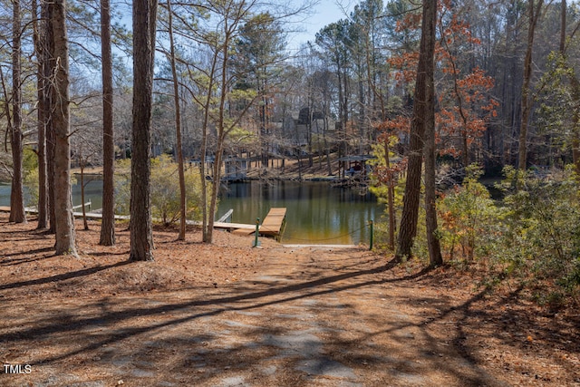 view of water feature featuring a boat dock