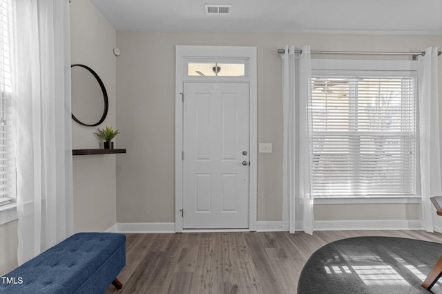 entryway with wood-type flooring and a wealth of natural light