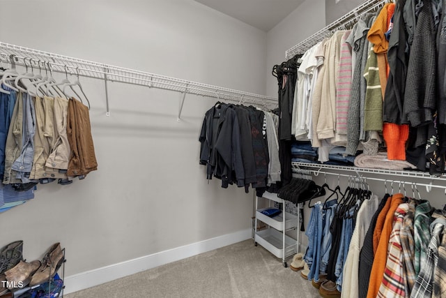 spacious closet featuring carpet floors