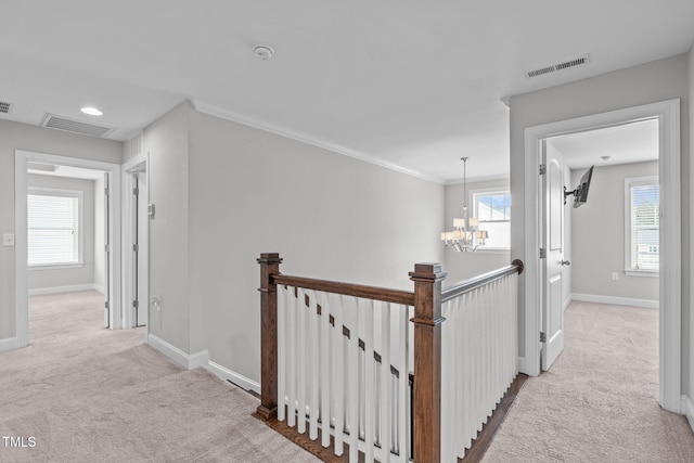 corridor featuring crown molding, a chandelier, light carpet, and a wealth of natural light