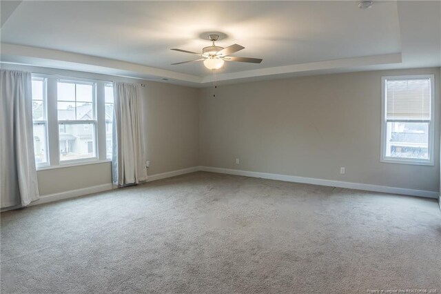 empty room featuring a healthy amount of sunlight, light carpet, and a tray ceiling