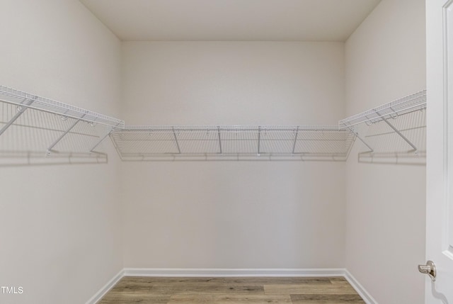 walk in closet featuring hardwood / wood-style floors