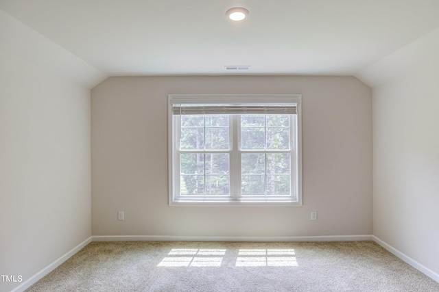 additional living space featuring lofted ceiling and carpet floors