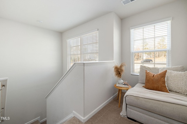 bedroom featuring carpet