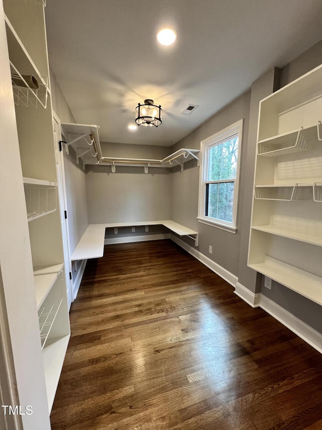 walk in closet with dark hardwood / wood-style floors