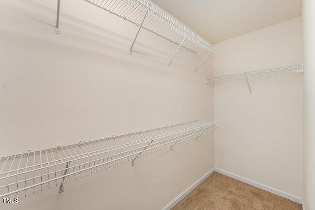 walk in closet with carpet floors