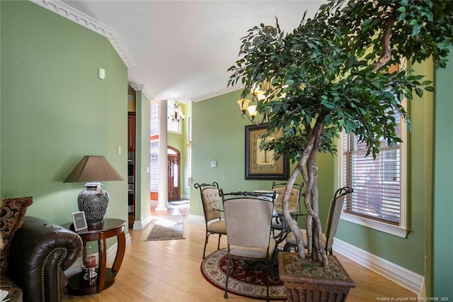 dining area with light hardwood / wood-style flooring