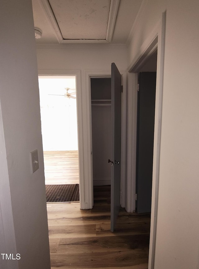 hallway with ornamental molding and hardwood / wood-style floors