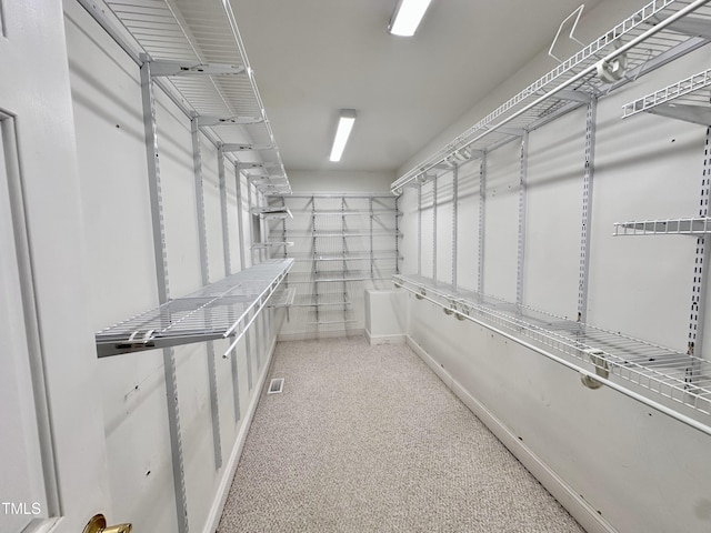 2934 Appaloosa Ct, Graham, NC 27253 - walk in closet with carpet floors
