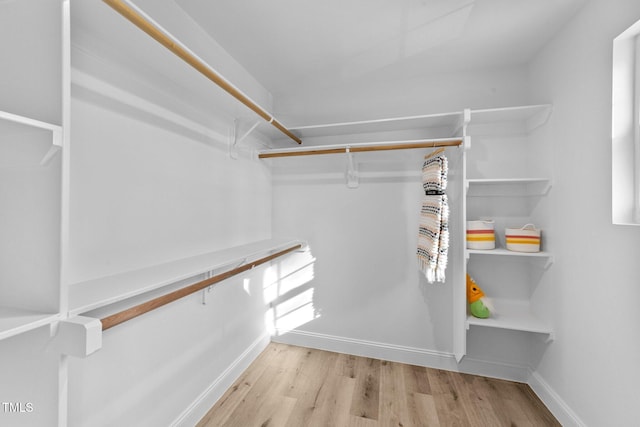 spacious closet with light hardwood / wood-style floors