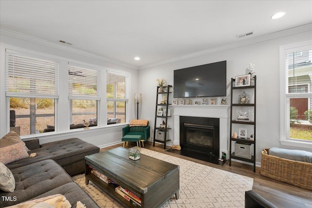 living room with visible vents, crown molding, a fireplace with flush hearth, and wood finished floors