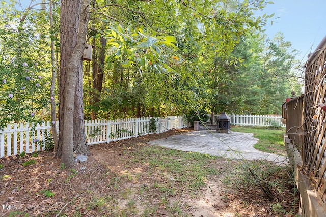 view of yard featuring a patio area