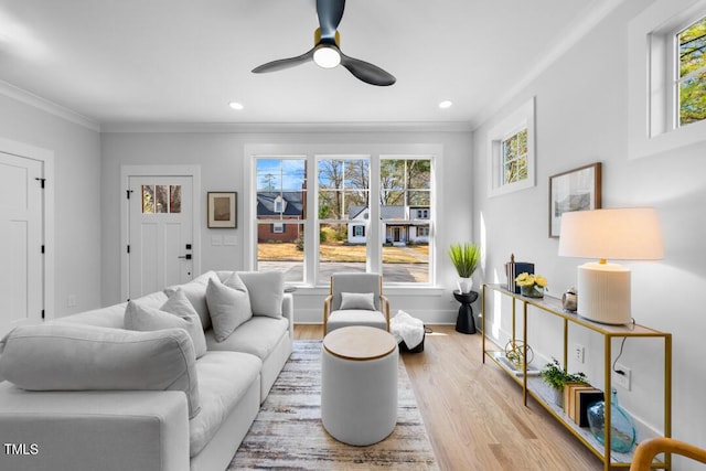 living room featuring ornamental molding, light hardwood / wood-style floors, and ceiling fan