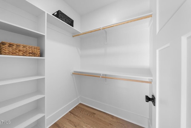 walk in closet with hardwood / wood-style flooring