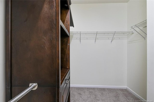 spacious closet featuring carpet flooring