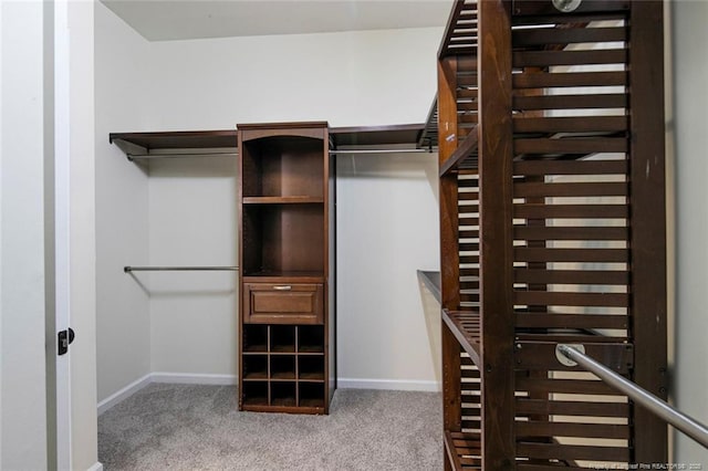 walk in closet with carpet floors