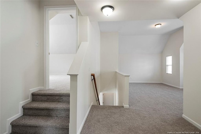 stairway featuring lofted ceiling and carpet flooring