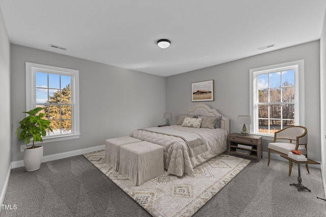 20 Wes Sandling Rd, Franklinton, NC 27525 - bedroom with carpet, multiple windows, and baseboards
