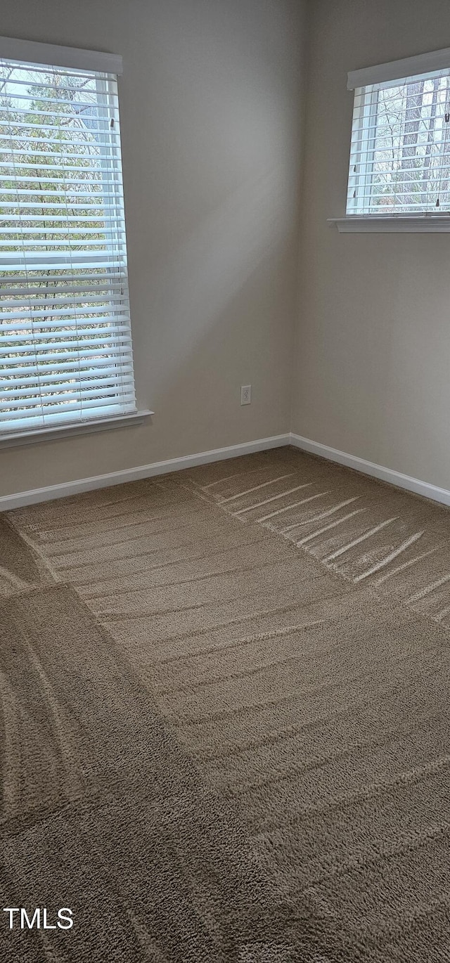 spare room featuring plenty of natural light and carpet