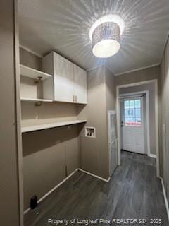 washroom featuring dark wood-type flooring and washer hookup