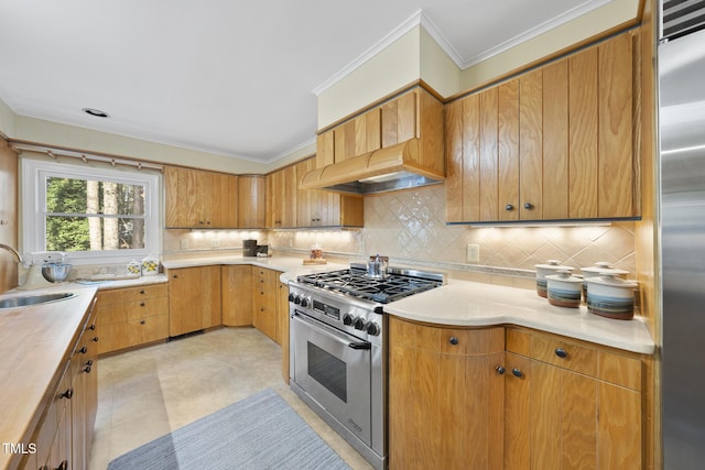 kitchen featuring appliances with stainless steel finishes, sink, backsplash, crown molding, and custom range hood