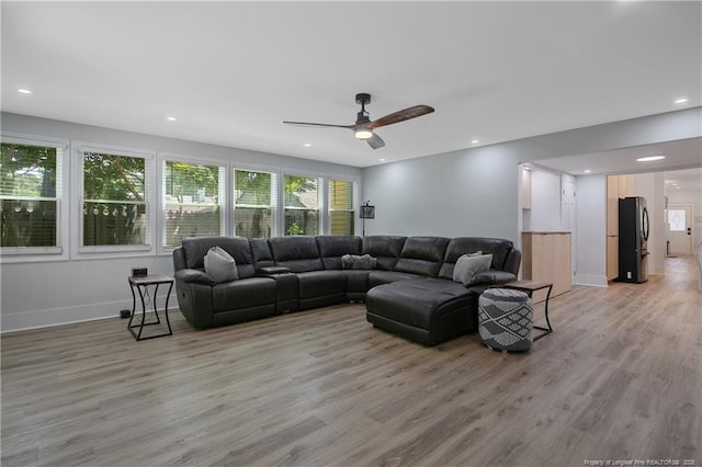 living room featuring ceiling fan and light hardwood / wood-style flooring