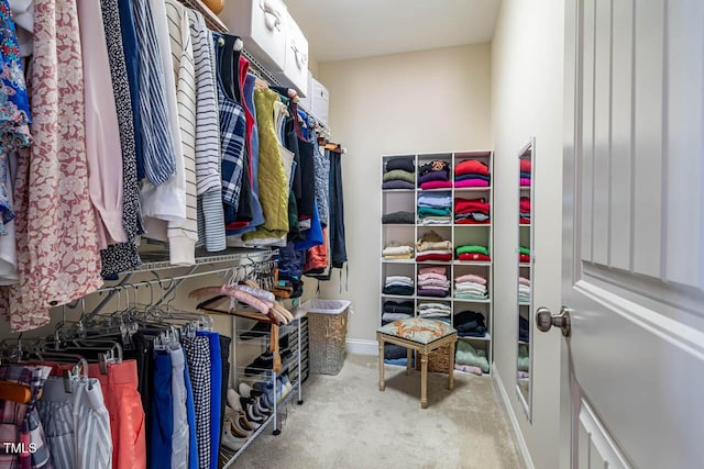 spacious closet with carpet floors