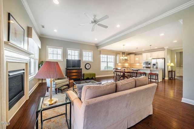 living room with ornamental molding, dark hardwood / wood-style floors, and ceiling fan with notable chandelier