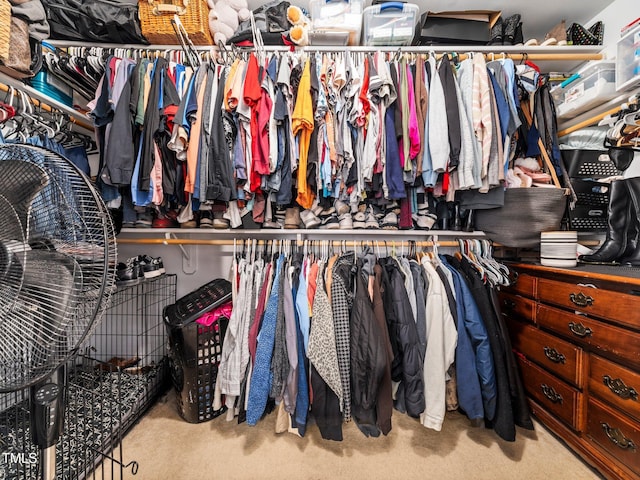 walk in closet with light colored carpet