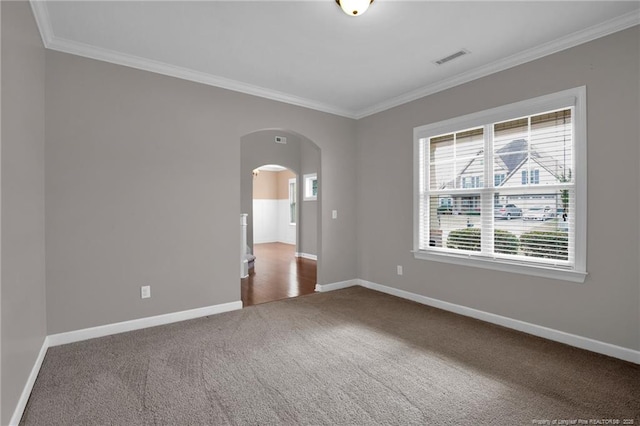 spare room featuring ornamental molding and carpet