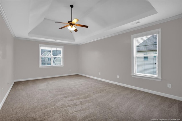 spare room featuring ornamental molding, carpet, and a tray ceiling