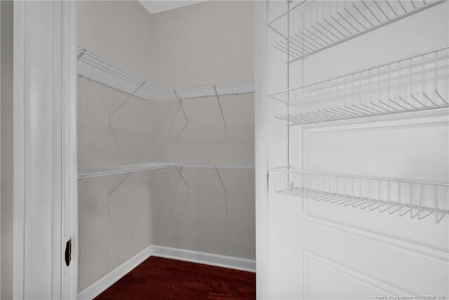 spacious closet featuring hardwood / wood-style flooring