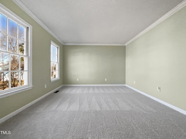 carpeted empty room featuring ornamental molding and a textured ceiling