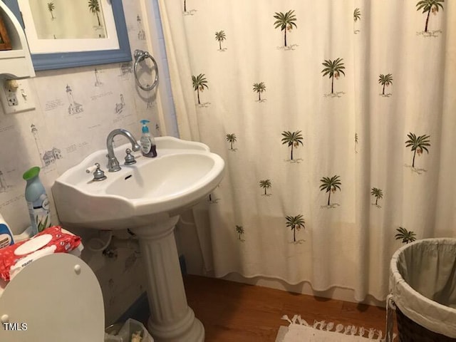 bathroom with wood-type flooring, toilet, and sink