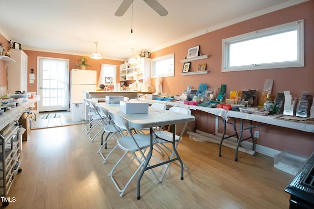 dining area with ceiling fan, ornamental molding, and light hardwood / wood-style flooring