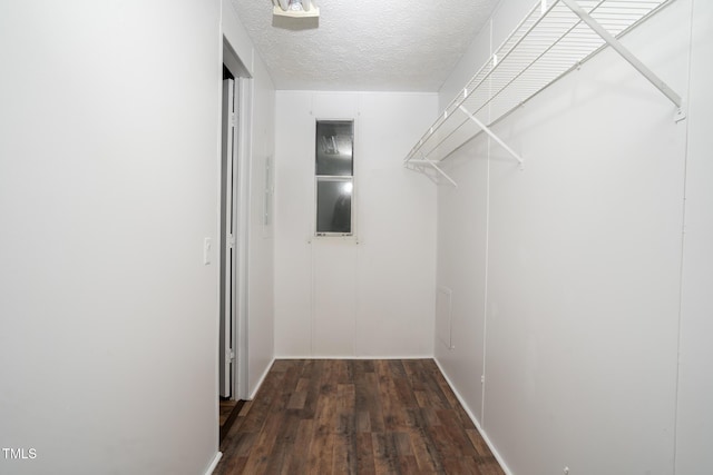 spacious closet featuring dark hardwood / wood-style floors