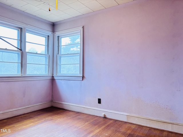 spare room with ornamental molding and light wood-type flooring