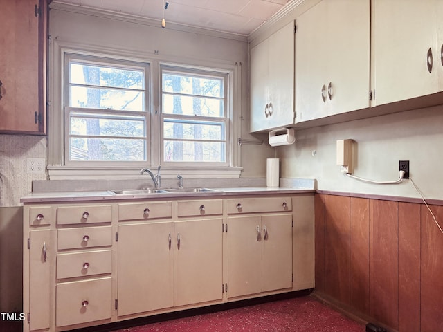 kitchen featuring crown molding and sink