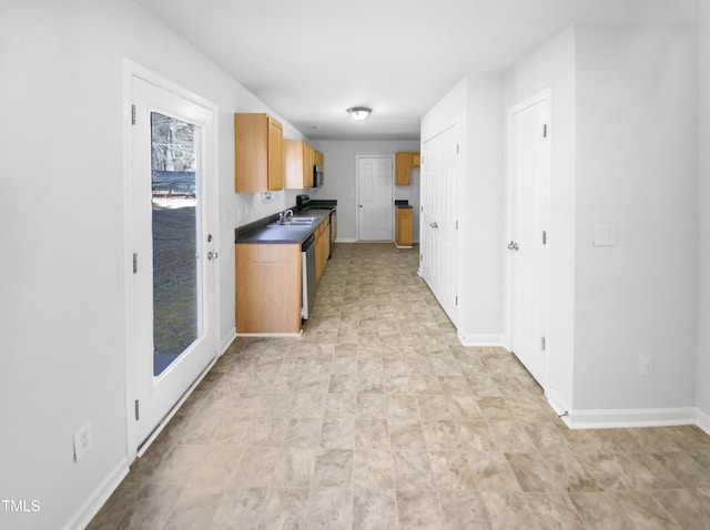 kitchen with sink and stainless steel dishwasher