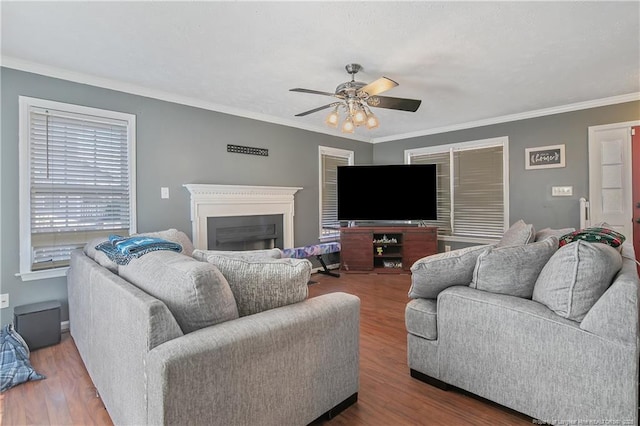 living room with hardwood / wood-style flooring, ceiling fan, and crown molding