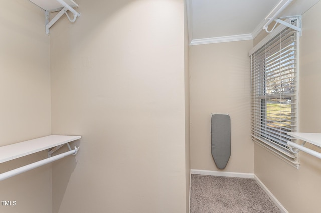 spacious closet featuring light colored carpet