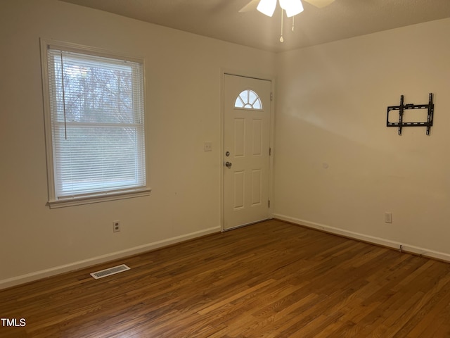 foyer entrance featuring ceiling fan, wood-type flooring, and a wealth of natural light