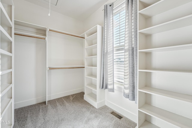 spacious closet featuring carpet