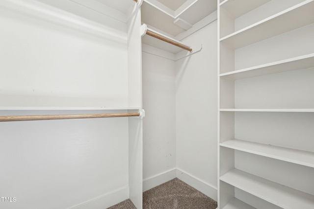 spacious closet with carpet floors