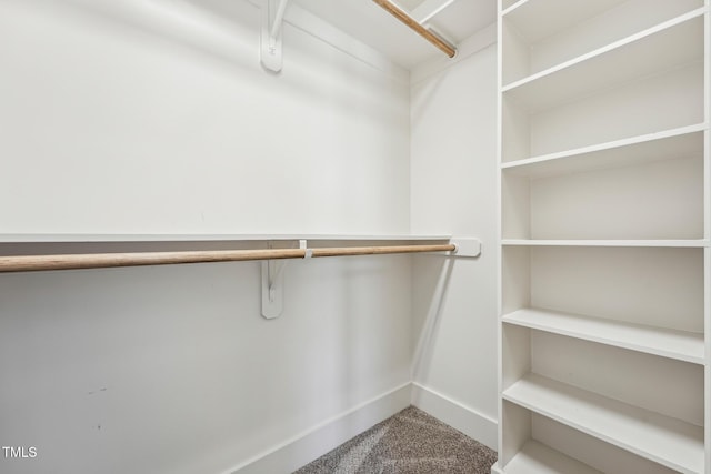 walk in closet featuring carpet flooring