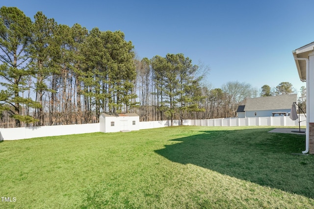 view of yard featuring a shed