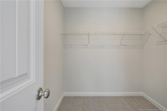 walk in closet with carpet floors