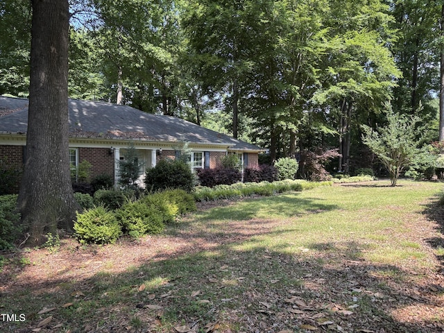 view of grassy yard